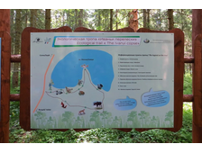 Экологическая тропа «Иваньи перелески»