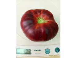 Томат Аметистовая драгоценность, (Amethyst Jewel), Канада