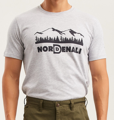 Футболка мужская DENALI BASIC Grey melange