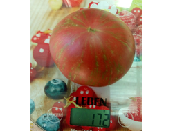 Томат Хлоя (Chloe) США