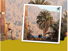 4 in 1 – SALAMA-CANYON + DREI POOLS + KAMELRITT + DAHAB AB SHARM EL SHEIKH
