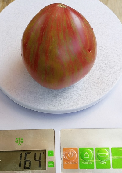 Томат Волшебная Радуга