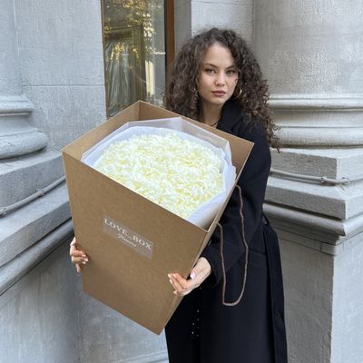 Транспортировочный бокс