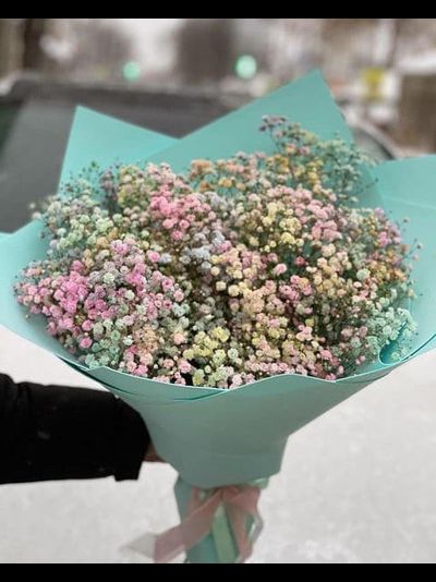 15 веток гипсофилы