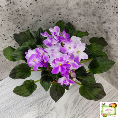 LV-Кирюша (Л. Шевелева) 2022 г. трейлер (пасынок посажен 15.08.25)