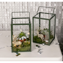 Флорариум Зеленый лес