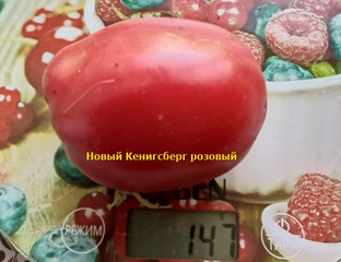 Томат Новый Кенигсберг розовый - Томатный мир