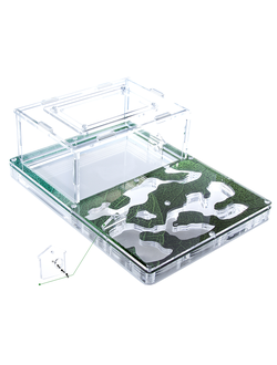 Муравьиная ферма 4ants Antrum L зеленый