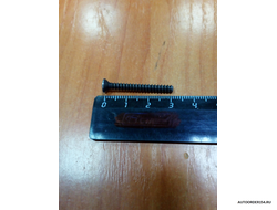 3,6*31,8 полупотайной, черный (цена за 100 шт.)