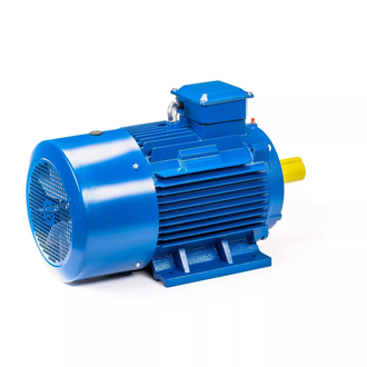 Электродвигатель 5АИ 200L2 (45 кВт) IM 1001
