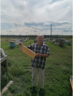 купить сотовый мед