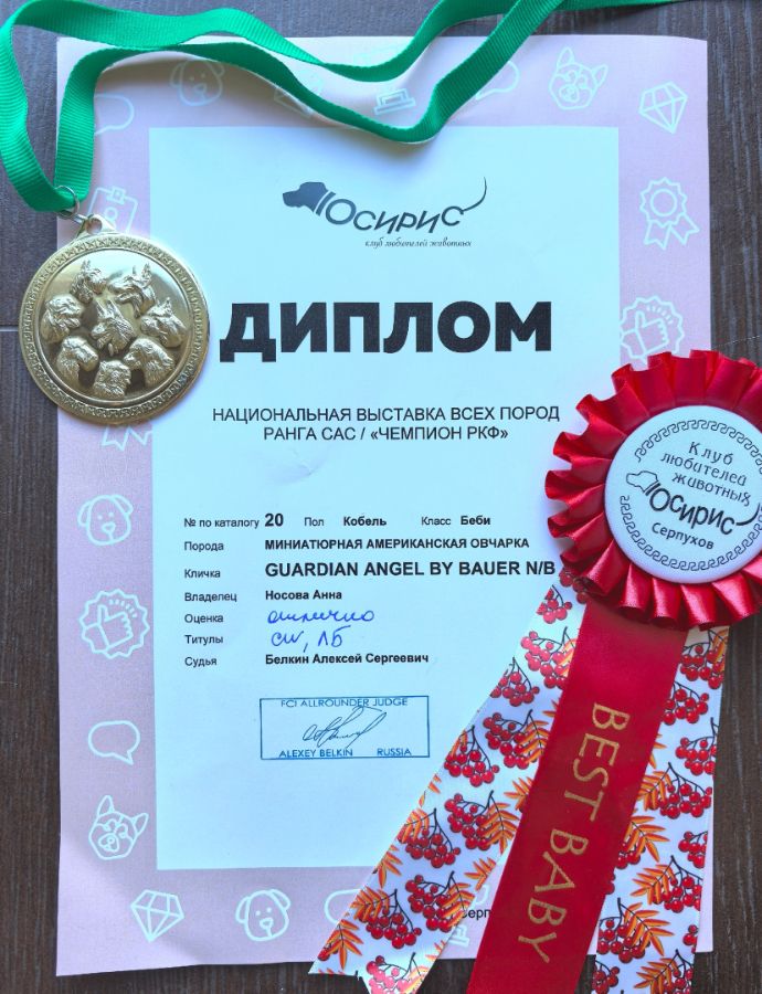 Гард ( Gardian Angel By Bauer)