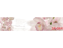 SP-044 ЦВЕТЫ И НАДПИСИ  Глянцевая стеновая панель ALBICO  2800*610*6мм