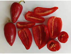 Перец острый Jalapeno Xalapa