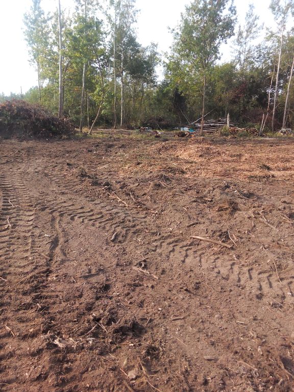 Расчистка участка