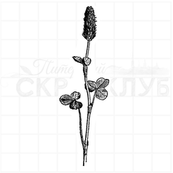 Штамп клевер малиновый