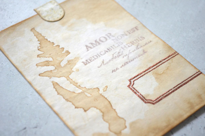 ФП  штамп "Папоротник серебристый"