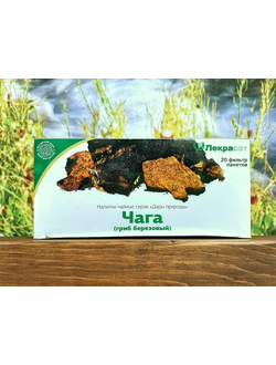 Чага (гриб березовый) 20 ф.п.