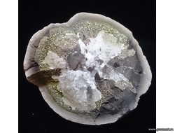 Пирит -"спектропирит", кальцит в полости конкреции. Россия. 47*44*25мм