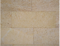 Ракушечник