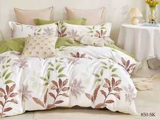 Постельное белье Cleo евро сатин 200х220х1 230х250х1 50х70х2+5см 70х70х2 31/850-SK