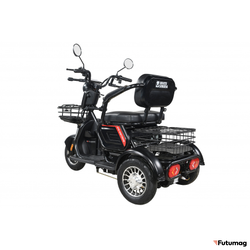 Пассажирский трицикл WHITE SIBERIA SIBTRIKE 2000W