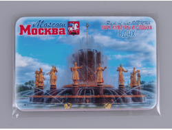 Гибкий сувенирный магнит на холодильник 8х6 см. с фото ВДНХ фонтан