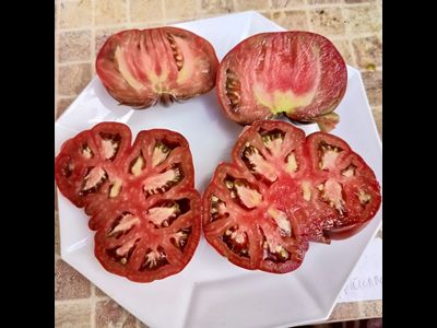 Томат Кудрявый Морателла (Rizado de Morratella )