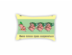 Подушка на 23 февраля №9