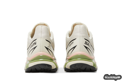Salomon XТ-6 FT Peach Beige Мужские (40-45)
