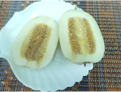 Дыня Мечта сибарита (Мечта лентяя)