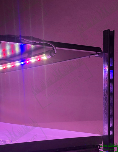 Цветочные тележки – Широкий выбор евро тролли. Бонусы за покупку! Упаковка разгрузка + Быстрая доста