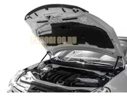 Амортизаторы капота, 2 шт. АвтоУпор для Nissan Almera III 2012-2018