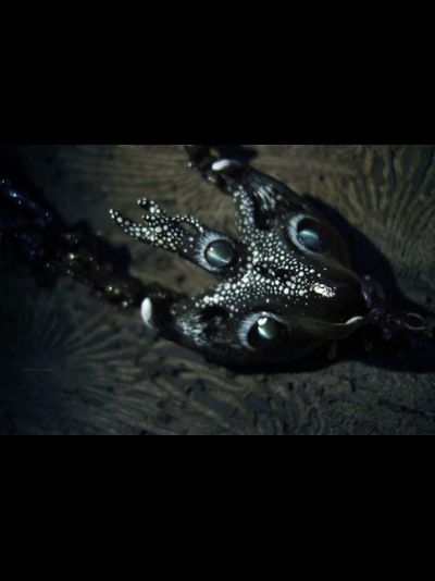 Волшебное колье-оберег &quot;Всеокий Оракул Снов&quot; (натуральные александриты, флюориты)