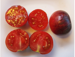 Томат Гондвана молния (Dwarf Gondwana Lightning)