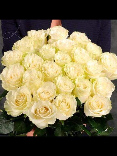 25 белых голландских роз "макси"