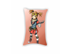 Подушки Borderlands, Бордерленд №44