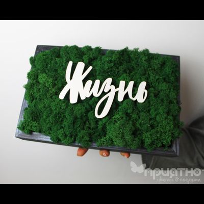 ЖИВАЯ ЭКО-КАРТИНА 1054