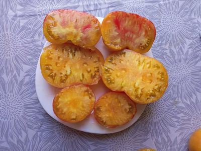 Томат Медовое авеню (Honey avenue)