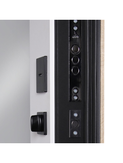 Стальная дверь   Конструктор с зеркалом (биометрический замок Smart lock Y12)