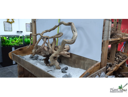 Фотографирование 1 позиции (3 товара данной позиции на выбор)