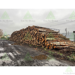 Фанерный кряж березовый ГОСТ 9462-88 18–50 см