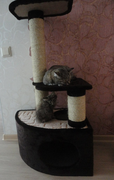 Домик для кошки Любимый №041