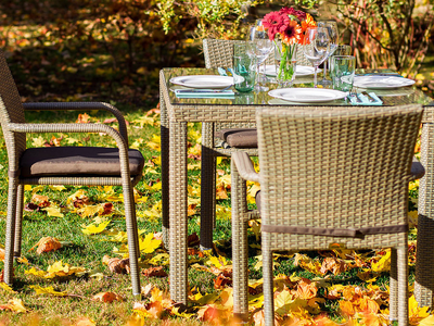 Обеденный комплект Rome с креслами