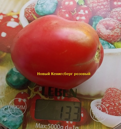Томат Новый Кенигсберг розовый