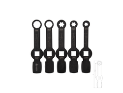 Набор специальных ключей для монтажа / демонтажа суппортов грузовиков, 5 предметов, кейс МАСТАК 102-20015C