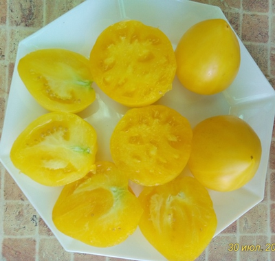 Томат гном Лимонный лед (Dwarf Lemon Ice, дварф Лемон айс) США