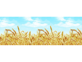 Фартук АБС Пшеница 3,0м*0,6м
