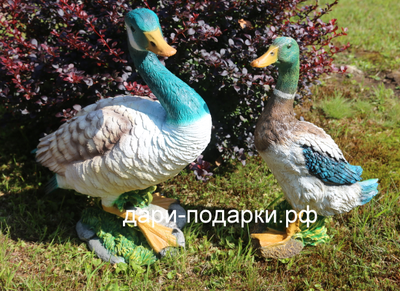 Садовая фигура Селезень Красавец 49*45см   2,5кг   полистоун Россия 2558/012540*