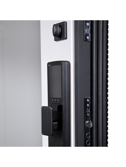 Стальная дверь   Сапсан с зеркалом (биометрический замок Smart lock Y23)